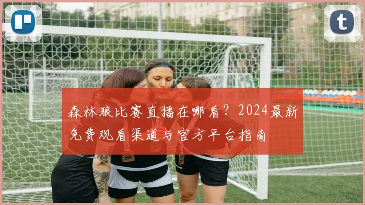 森林狼比赛直播在哪看？2024最新免费观看渠道与官方平台指南