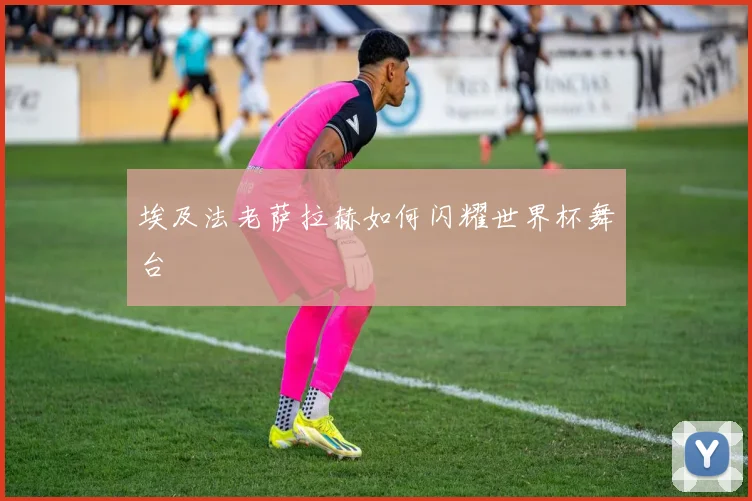 埃及法老萨拉赫如何闪耀世界杯舞台